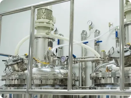 Ingredients and Formulations