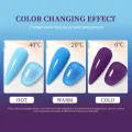 Color Changing Cat Eye Gel